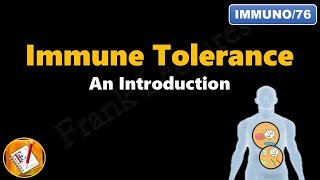 Immune tolerance  An introduction FLImmuno76 [upl. by Okir37]