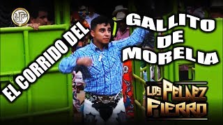 El Gallito de Morelia  Los Pelaez Fierro [upl. by Lavina]