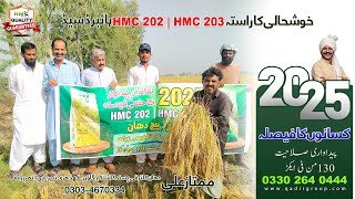 Alhamdulillah Excellent Crop by Farmer Mumtaz Ali  HMC 203 Success  Khadhri Depar Gaji Khuhawar [upl. by Aredna741]