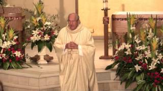 Catholic Mass for April 24th 2016 The Fifth Sunday of Easter [upl. by Comyns]