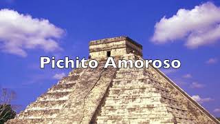 Pichito Amoroso Audio [upl. by Pedaias]