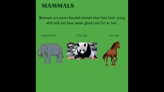 Classification Of AnimalsvertebratesNCERTPlus Two Biologybiology cbse puc class11NEET [upl. by Papst64]