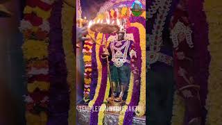 DAY 2 MEENAKSHI AMMAN ALANKARAM 🦜🔱🙏🔥 meenakshi durga viralvideo newfeed navratri amman rani [upl. by Asseneg665]