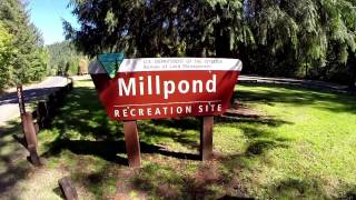 Explore Oregon Recreation Millpond Campground and Recreation Area [upl. by Assetal]