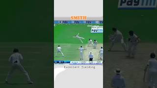 Steve smith Acrobatics catches cricket field fielding cricketvideo youtubeshorts shorts [upl. by Rehtaeh]