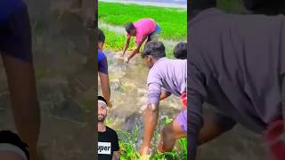 Amazing fishing video  Maya fish to fishing fish fishingvideo fishinglife fishing bgm shorts [upl. by Benito]