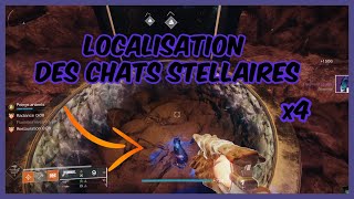 Destiny 2 FR Semaine 2  Localisation des 4 chats stellaires [upl. by Cerelly]