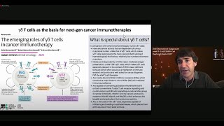 The Importance of GammaDelta T Cells [upl. by Marlowe]