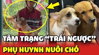 Tâm trạng TRÁI NGƯỢC trong 1 ngày của phụ huynh khi NUÔI CHÓ 😂  Yêu Lu [upl. by Magda708]