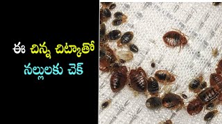 ఈ చిన్న చిట్కాతో నల్లులకు చెక్  Bed Bugs home remedy A2Z Telugu [upl. by Okiram]