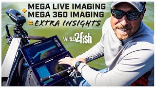 Combine MEGA 360 and MEGA Live for More Insight [upl. by Breena491]