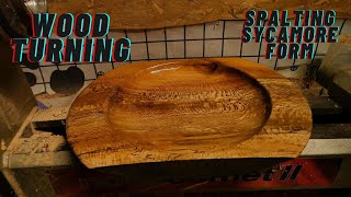 Wood Turning Experimenting with Spalted Sycamore Form June 2023 [upl. by Solange]