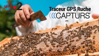 Traceur GPS Ruche  Journal 13h France 2 [upl. by Kazim668]