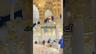 GE BHAR KY RO LAWAN DAR E AQDAS DAY SAMNE shortvideo naat subscribe ytshorts ytreels trending [upl. by Niddala100]