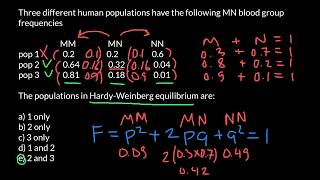 How to find if population in HardyWeinberg equilibrium [upl. by Oratnek764]