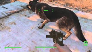 Fallout 4 Max Special EASY Duplication Glitch Dogmeat Exploit [upl. by Lleuqar]