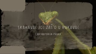 Laboratorija zvuka  Skakavac joj zašo u rukavac Official lyric video [upl. by Leclair392]