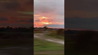 Florida sunsets sunset florida beautiful [upl. by Iem917]