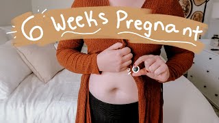 6 WEEKS PREGNANT UPDATE  Pregnant with no Symptoms [upl. by Lisabeth]