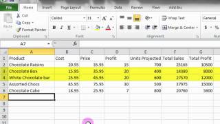 Microsoft Excel Tutorial A Basic Introduction [upl. by Cirde]