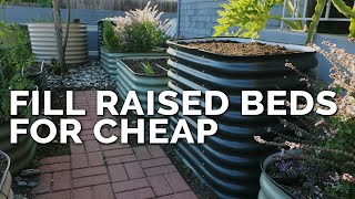 How to Fill Raised Garden Beds CHEAP and EASY [upl. by Modesta]