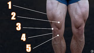 Exercises for Knee Pain 5 Things You Must Do [upl. by Cassy]