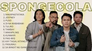 SPONGECOLA SONGS 🫶 [upl. by Neersin]