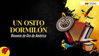 Un Osito Dormilón BINOMIO DE ORO [upl. by Assennav]