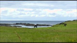 The hills of Clare  Tom Lenihan [upl. by Christmas]