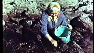 Pembrokeshire Pembs Dyfed 1958 Promotional Video made by Esso Refinery [upl. by Annovy]