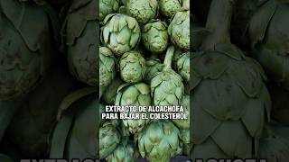 Extracto de alcachofa para bajar el colesterol  receta y Tip natural para mejorar salud y corazón [upl. by Barthel]