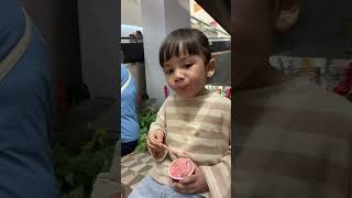 Strawberry gelato gelato icecream shorts viralvideo [upl. by Thier]