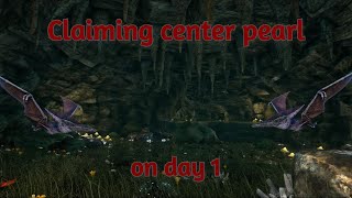 How we took a pearl cave on day 1 ARK Unofficial PvP [upl. by Dareg766]