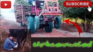 3 din ka bad wapis ghar bron sa 😱Village life short vlog [upl. by Yrallih]