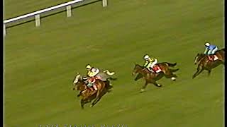 2003 Stayers Hurdle Baracouda [upl. by Jung]