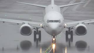 Panorama Terrace Amsterdam Airport Schiphol on Tuesday 1st October 2024 [upl. by Sternick]