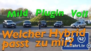 Welcher Hybrid passt zu mir Wie unterscheiden sich Mildhybrid PluginHybrid und Vollhybrid [upl. by Hsetirp]