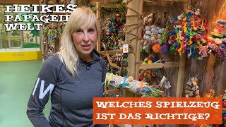 Welches Papageienspielzeug ist das Richtige [upl. by Whall]