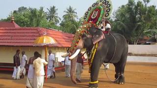 Kerala Tourism video  Temple festival  Procession starting with Caparisoned Elephant from a Temple [upl. by Retepnhoj]