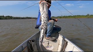 Pescado sudado  pescado asado  campamento a la orilla del río y pura pesca con anzuelo [upl. by Lindsley912]