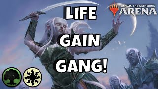 2022 SELESNYA LIFE GAIN  ANGELS amp CLERICS  mtg arena  DampD NEW MYTHIC DECK STANDARD BO1 150 VIDEO [upl. by Nannette]