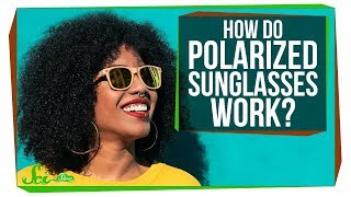 How Do Polarized Sunglasses Work [upl. by Snevets1]