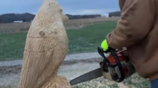 Chainsaw carving cold day Cardinal carving continued chainsawcarving artsandcrafts woodworking [upl. by Pufahl]