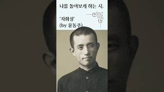 다시 읽고 싶은 시詩🖋️ 윤동주 자화상 🪞나를 들여다보는 시간⏳ 시인 인생시 힐링 [upl. by Nair]