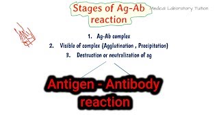 antigen antibody reaction in hindi  antigen and antibody reaction microbiology [upl. by Robinson]