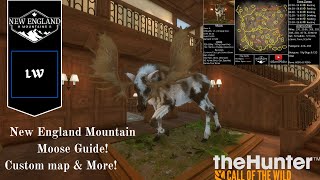 New England Mountains Moose Guide  Thehunter Call of the Wild [upl. by Airamat108]