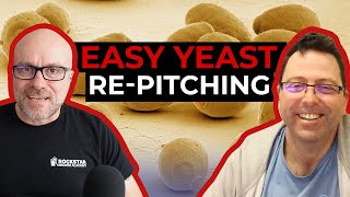 How To Start Repitching Yeast In Your Brewery To SAVE THOUSANDS and BREW BETTER BEER  QFPB E003 [upl. by Refotsirk]