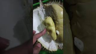 Durian YM Yellow Mamen Rasa Manis legit Pait Nikmat [upl. by Ignace]