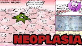 Neoplasia  metaplasia dysplasia anaplasia  part 4 [upl. by Acilegna]