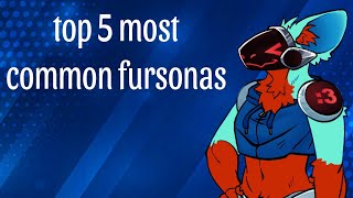 top 5 most common fursonas [upl. by Eibot]